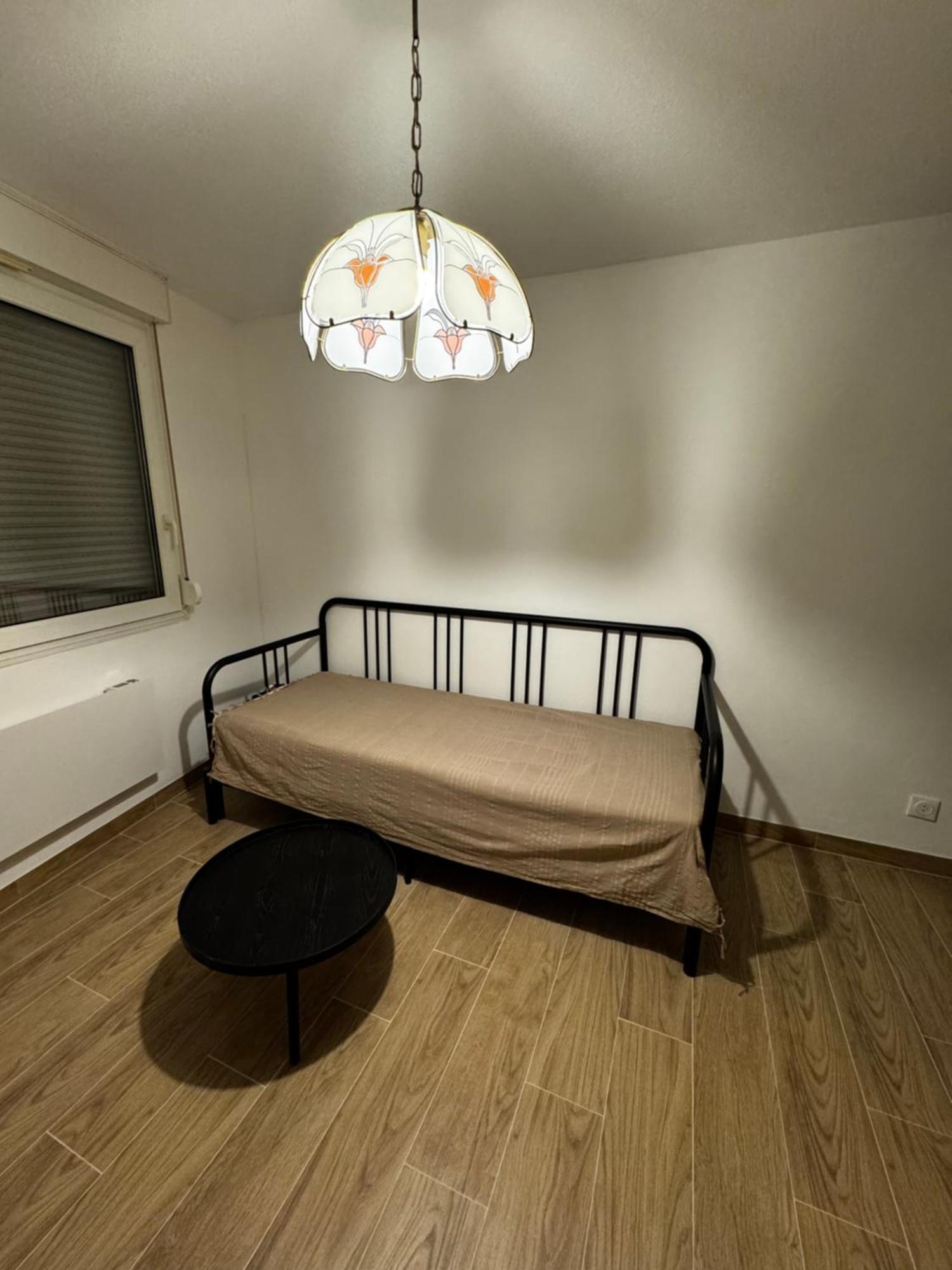 Le Sarsour Appartement Strasbourg Centre 外观 照片