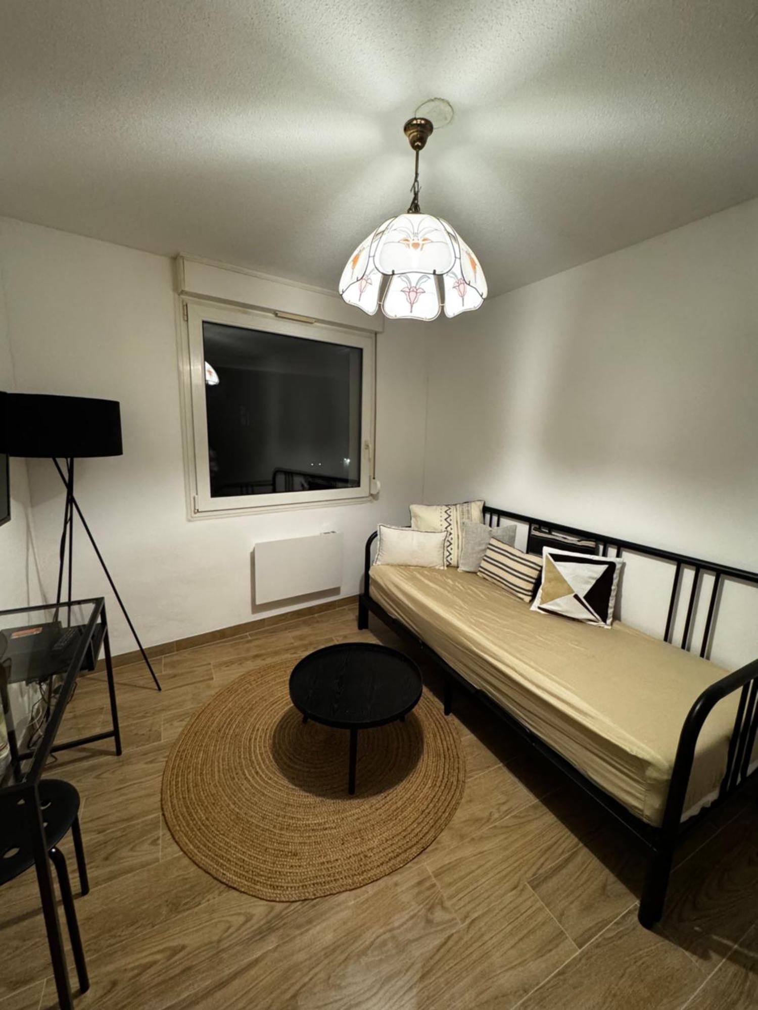 Le Sarsour Appartement Strasbourg Centre 外观 照片